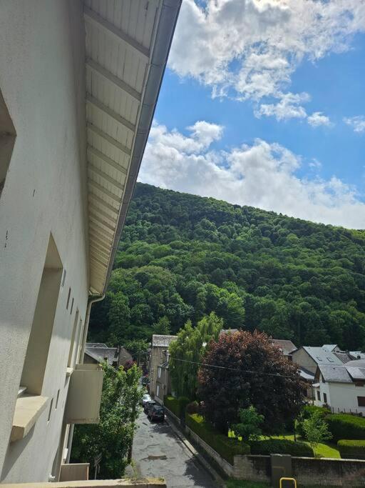 Chez Louise, Appartement T3 A Deux Pas Du Centre Bagnères-de-Luchon Exteriör bild